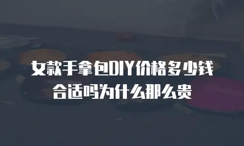 女款手拿包DIY价格多少钱合适吗为什么那么贵