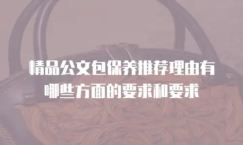 精品公文包保养推荐理由有哪些方面的要求和要求