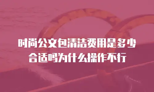 时尚公文包清洁费用是多少合适吗为什么操作不行