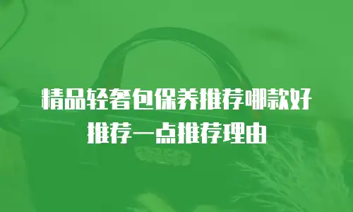 精品轻奢包保养推荐哪款好推荐一点推荐理由