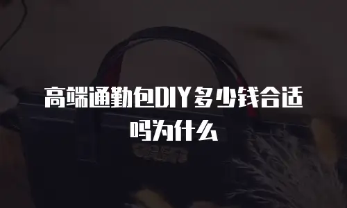 高端通勤包DIY多少钱合适吗为什么