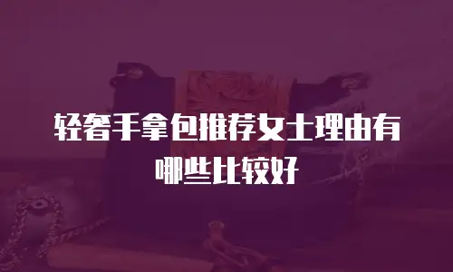 轻奢手拿包推荐女士理由有哪些比较好