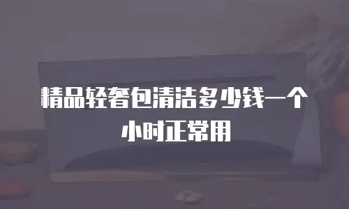 精品轻奢包清洁多少钱一个小时正常用