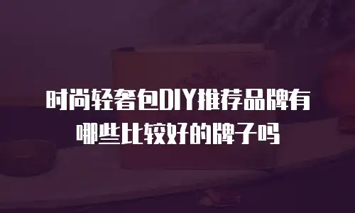 时尚轻奢包DIY推荐品牌有哪些比较好的牌子吗