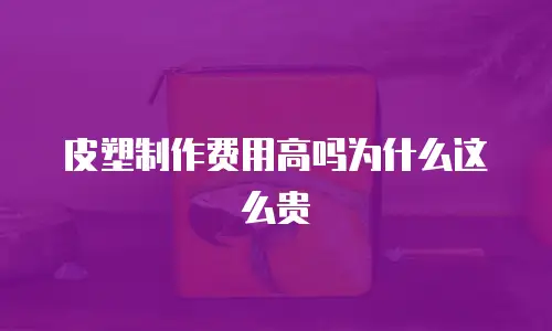 皮塑制作费用高吗为什么这么贵