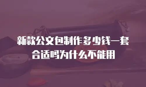 新款公文包制作多少钱一套合适吗为什么不能用