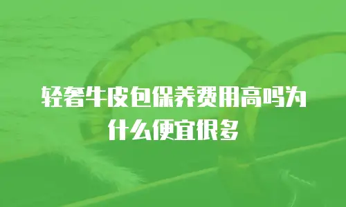 轻奢牛皮包保养费用高吗为什么便宜很多