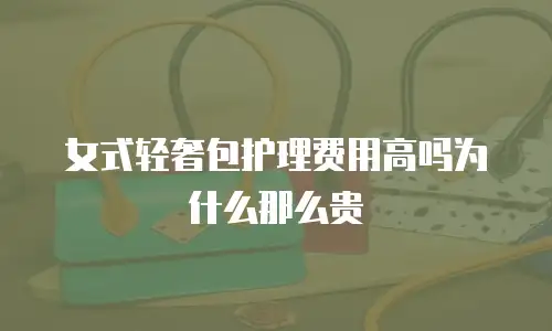 女式轻奢包护理费用高吗为什么那么贵