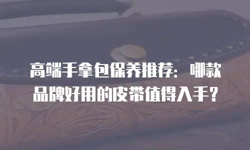 高端手拿包保养推荐：哪款品牌好用的皮带值得入手？