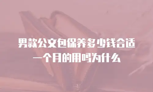 男款公文包保养多少钱合适一个月的用吗为什么