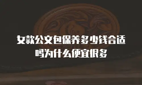 女款公文包保养多少钱合适吗为什么便宜很多