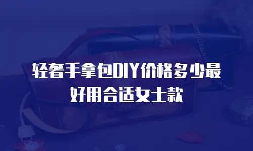 轻奢手拿包DIY价格多少最好用合适女士款