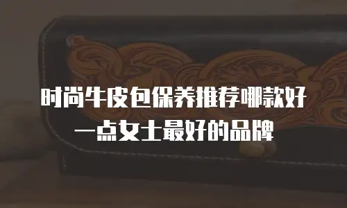 时尚牛皮包保养推荐哪款好一点女士最好的品牌