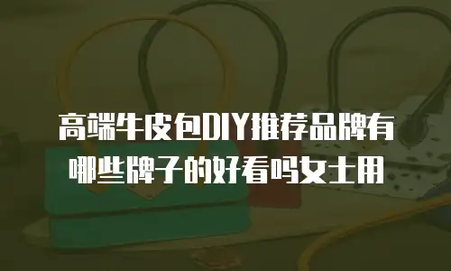 高端牛皮包DIY推荐品牌有哪些牌子的好看吗女士用