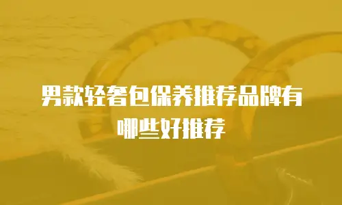 男款轻奢包保养推荐品牌有哪些好推荐