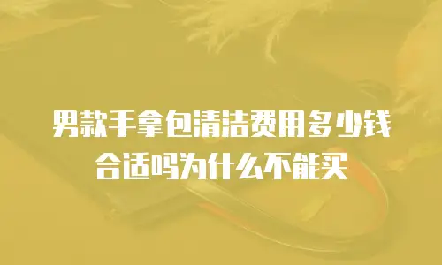 男款手拿包清洁费用多少钱合适吗为什么不能买