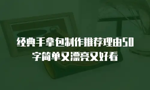 经典手拿包制作推荐理由50字简单又漂亮又好看