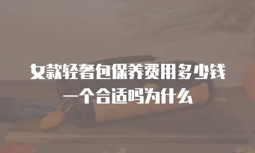 女款轻奢包保养费用多少钱一个合适吗为什么