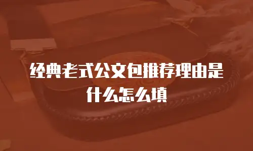 经典老式公文包推荐理由是什么怎么填