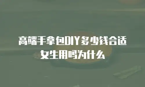 高端手拿包DIY多少钱合适女生用吗为什么