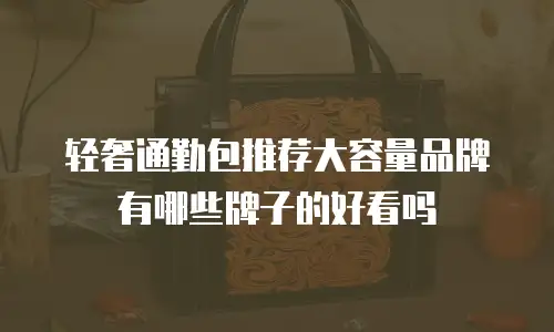 轻奢通勤包推荐大容量品牌有哪些牌子的好看吗