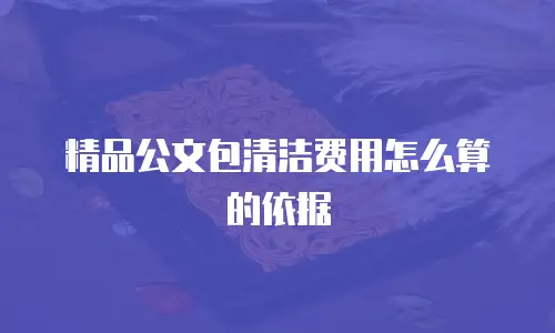 精品公文包清洁费用怎么算的依据
