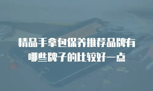 精品手拿包保养推荐品牌有哪些牌子的比较好一点