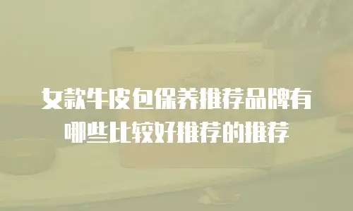 女款牛皮包保养推荐品牌有哪些比较好推荐的推荐