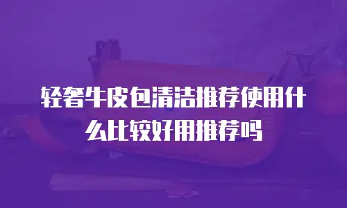 轻奢牛皮包清洁推荐使用什么比较好用推荐吗