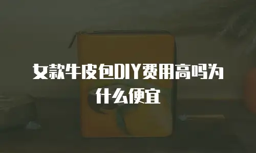 女款牛皮包DIY费用高吗为什么便宜