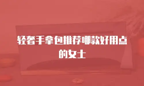 轻奢手拿包推荐哪款好用点的女士