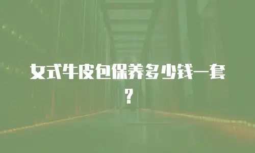 女式牛皮包保养多少钱一套？