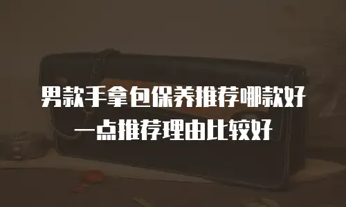 男款手拿包保养推荐哪款好一点推荐理由比较好