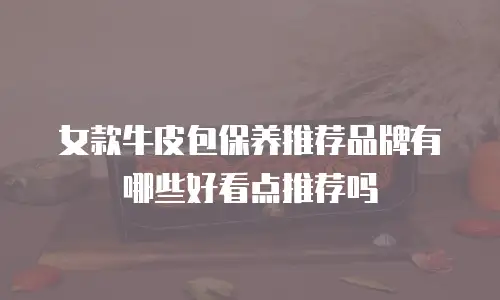 女款牛皮包保养推荐品牌有哪些好看点推荐吗