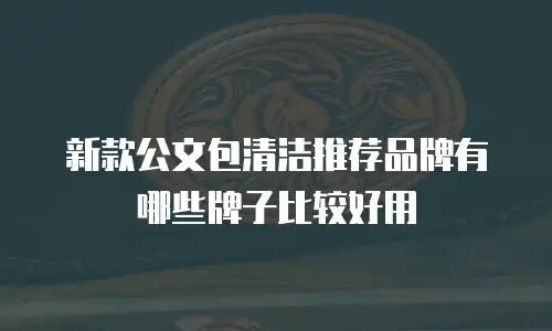 新款公文包清洁推荐品牌有哪些牌子比较好用