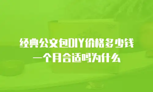 经典公文包DIY价格多少钱一个月合适吗为什么