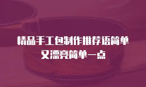 精品手工包制作推荐语简单又漂亮简单一点