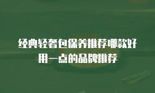 经典轻奢包保养推荐哪款好用一点的品牌推荐