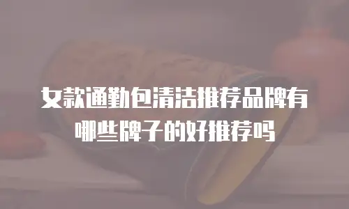 女款通勤包清洁推荐品牌有哪些牌子的好推荐吗