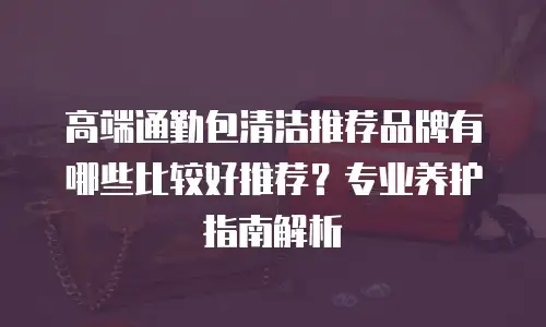 高端通勤包清洁推荐品牌有哪些比较好推荐？专业养护指南解析