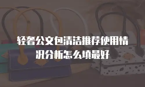 轻奢公文包清洁推荐使用情况分析怎么填最好