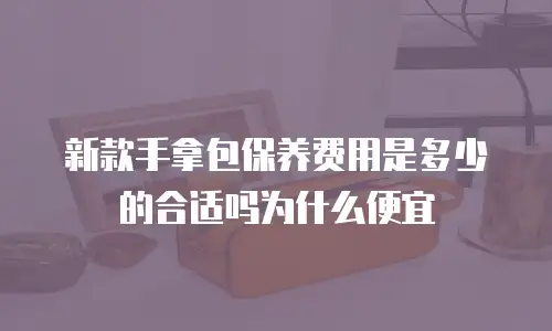 新款手拿包保养费用是多少的合适吗为什么便宜