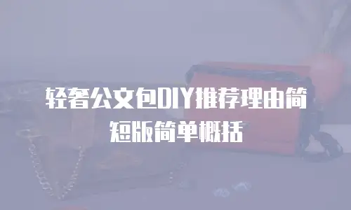 轻奢公文包DIY推荐理由简短版简单概括