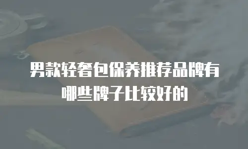 男款轻奢包保养推荐品牌有哪些牌子比较好的