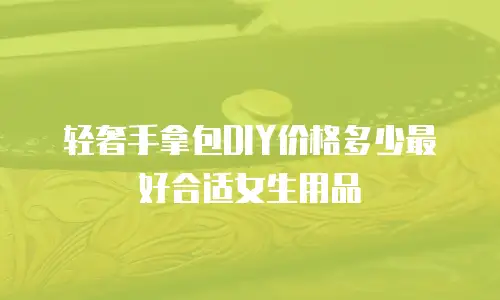 轻奢手拿包DIY价格多少最好合适女生用品