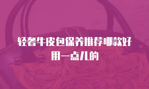 轻奢牛皮包保养推荐哪款好用一点儿的