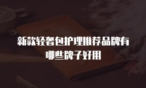 新款轻奢包护理推荐品牌有哪些牌子好用