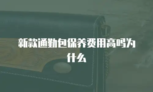 新款通勤包保养费用高吗为什么