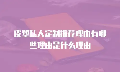 皮塑私人定制推荐理由有哪些理由是什么理由