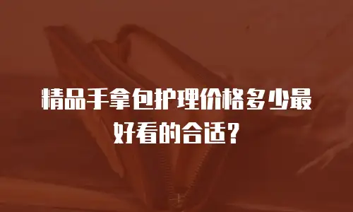 精品手拿包护理价格多少最好看的合适？